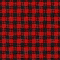 Lumberjack plaid