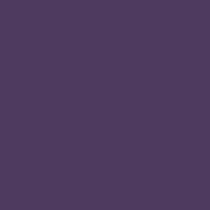 Rayon-Spandex-Jersey-Fabric-160gsm-–-Eggplant-210×210