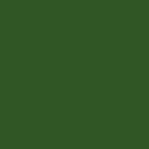 Rayon-Spandex-Jersey-Knit-200gsm-Apple-Green-210×210