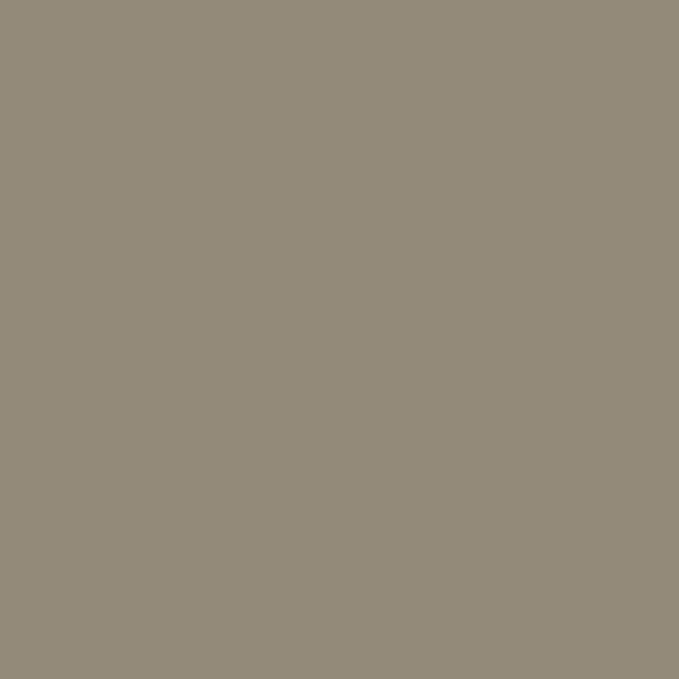 TAUPE-1183-1