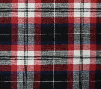 flannel21