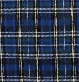 flannel28